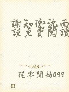 谢知衡沈南月小说免费阅读最新章节