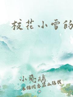 校花小雪的小说