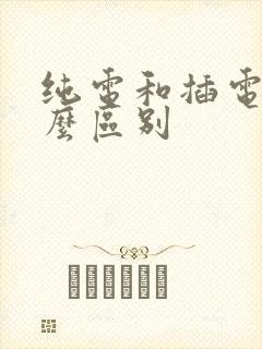 纯电和插电有什么区别