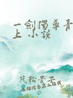 一剑独尊青鸾峰上 小说