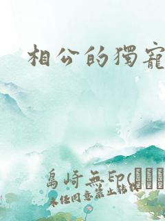 相公的独宠妻子