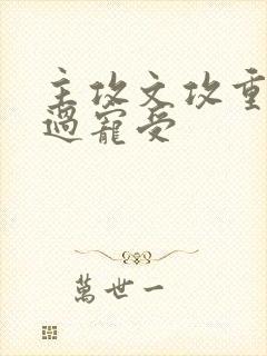 主攻文攻重生悔过宠受