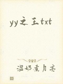 yy之王txt