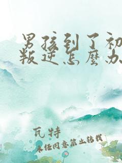 男孩到了初中很叛逆怎么办