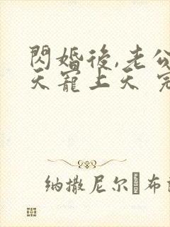 闪婚后,老公每天宠上天 完结