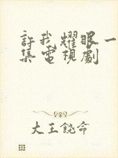 许我耀眼一共几集电视剧