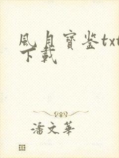 风月宝鉴txt下载