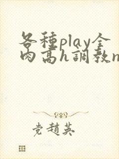 各种play全肉高h调教np