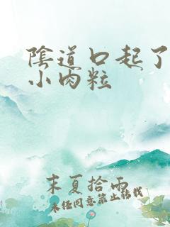 阴道口起了一个小肉粒