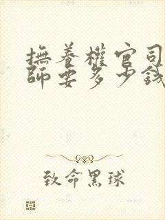 抚养权官司请律师要多少钱