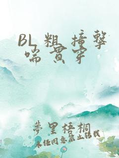 BL 粗 撞击 喘 贯穿