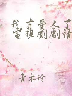 我有爱人了韩剧电视剧剧情介绍