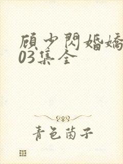 顾少闪婚娇妻103集全