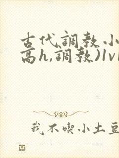 古代调教小说(高h,调教)1v1