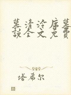 慕清泠席慕深小说全文免费阅读