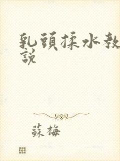 乳头揉水教室小说