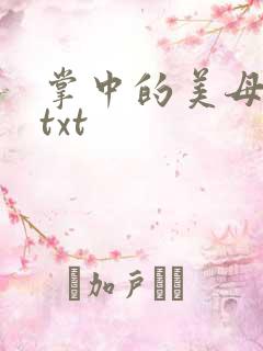 掌中的美母版主txt