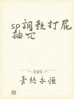 sp调教打屁股抽穴