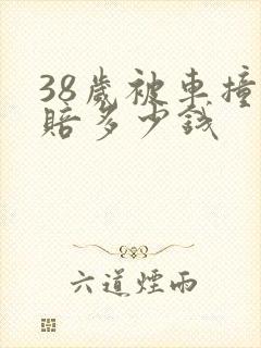 38岁被车撞死赔多少钱