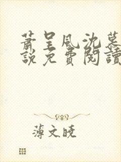 萧呈风沈慕卿小说免费阅读最新章节