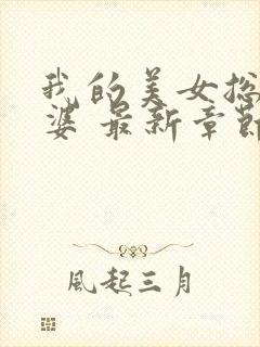 我的美女总裁老婆 最新章节 无弹窗