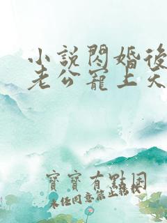小说闪婚后神秘老公宠上天