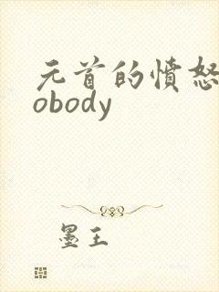 元首的愤怒之nobody