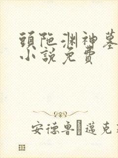 头陀渊神墓有声小说免费