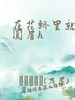 在花轿里就开始圆房h