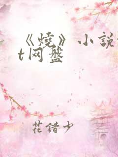 《烧》小说txt网盘