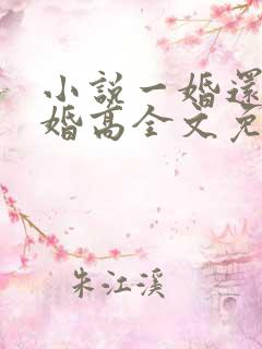 小说一婚还比一婚高全文免费阅读