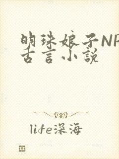 明珠娘子NPC古言小说