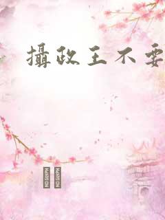 摄政王不要