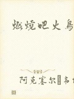 燃烧吧火鸟小说