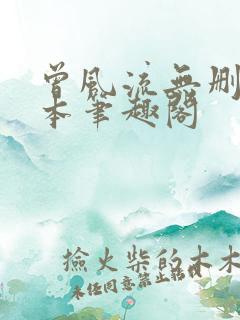 曾风流无删减全本笔趣阁