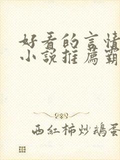 好看的言情现代小说推荐霸道总裁