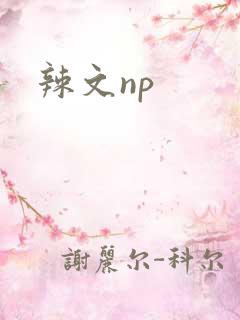 辣文np