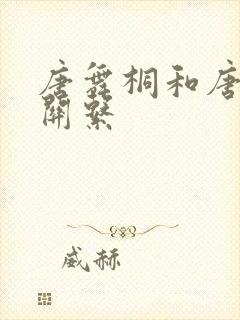 唐舞桐和唐三的关系