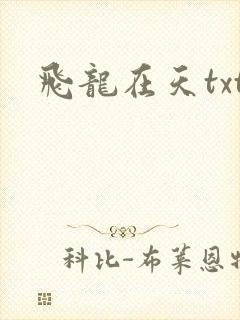 飞龙在天txt