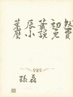 叶辰萧初然叫什么小说免费阅读