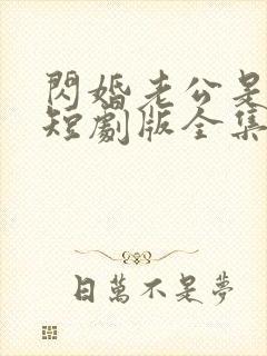 闪婚老公是总裁短剧版全集在线观看