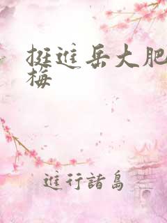 挺进岳大肥屁丽梅