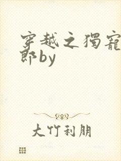 穿越之独宠小夫郎by