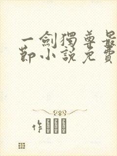 一剑独尊最新章节小说免费阅读