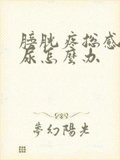 膀胱疼总感觉有尿怎么办