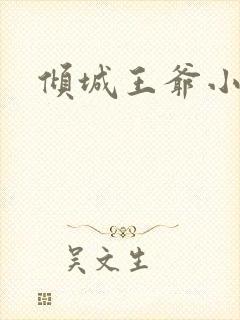 倾城王爷小小妃