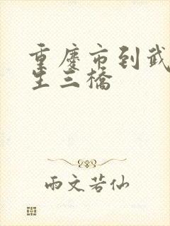 重庆市到武隆天生三桥