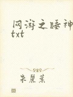 网游之睡神传说txt