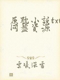 原耽小说txt网盘资源