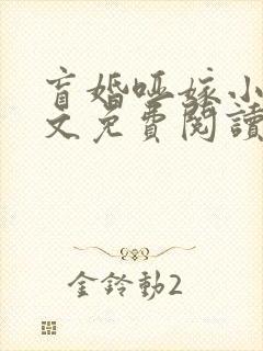 盲婚哑嫁小说全文免费阅读